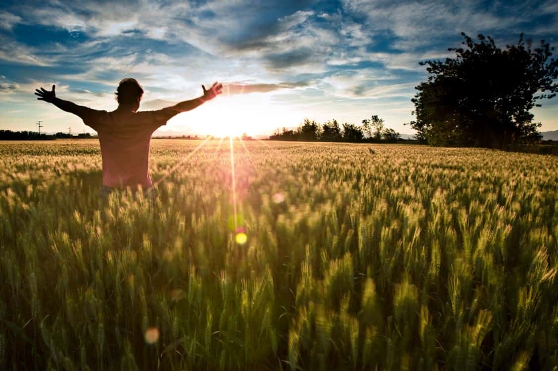 Ikigai: Durf het er over te hebben!